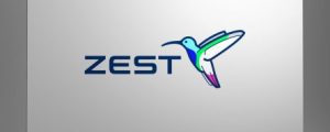 Zest_Branding_Blog-1340x905